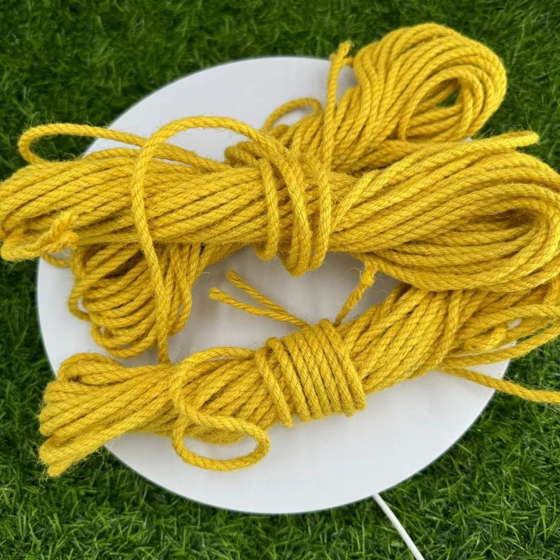 Cordões amarelos com 30 anos de experiência.